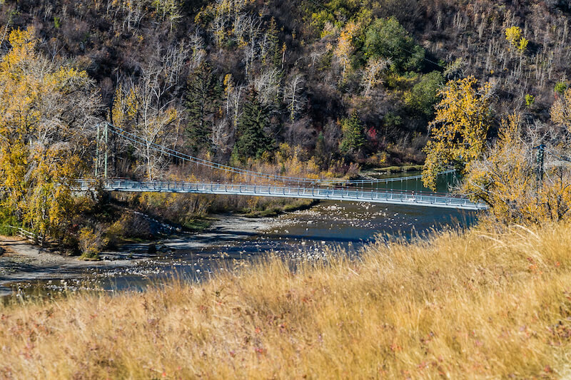 Sandy Beach footbridge and Elbow River parkland near Britannia, Calgary