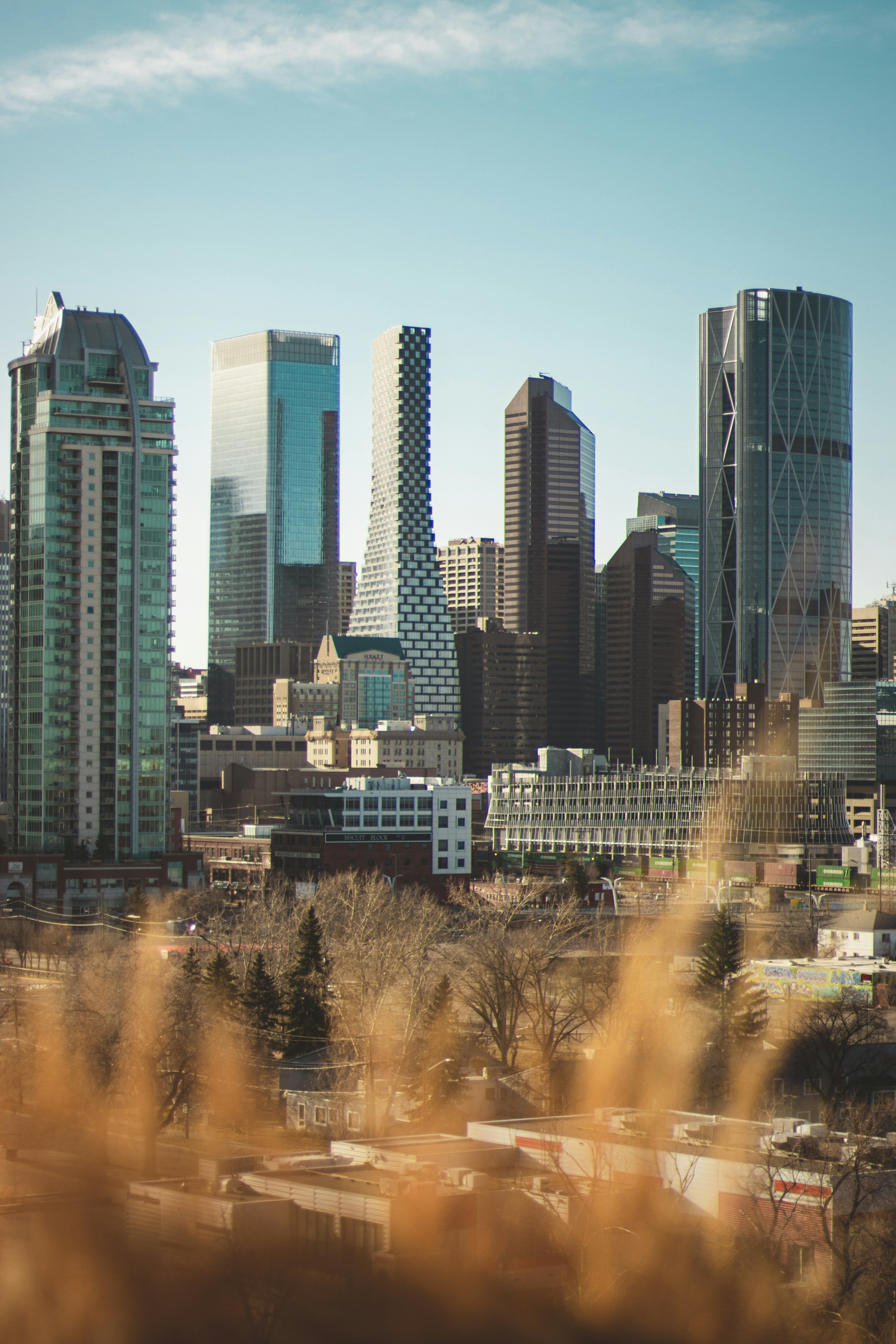 Altadore Calgary