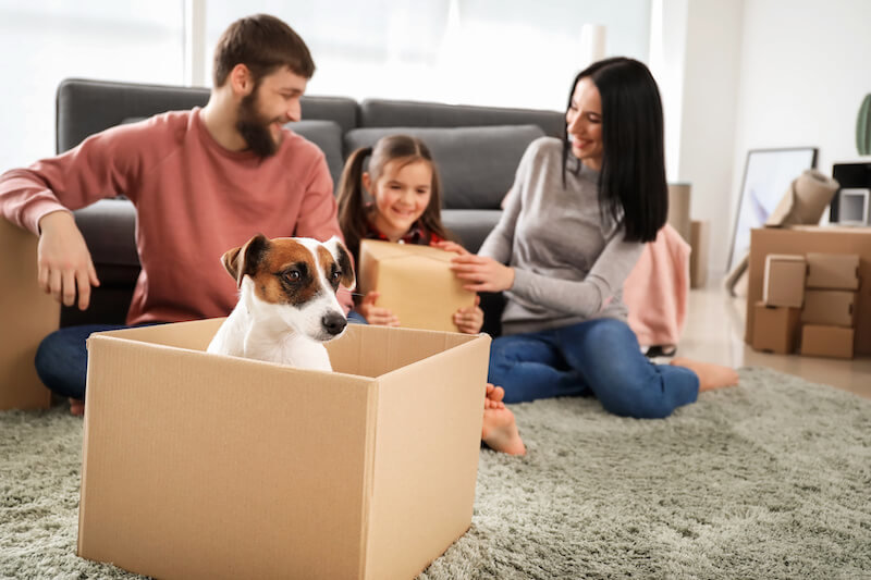 Family preparing to move with a child and dog