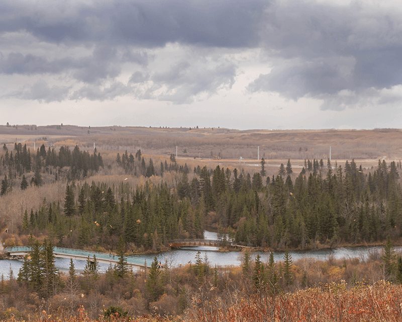 Lakeview neighbourhood in Calgary