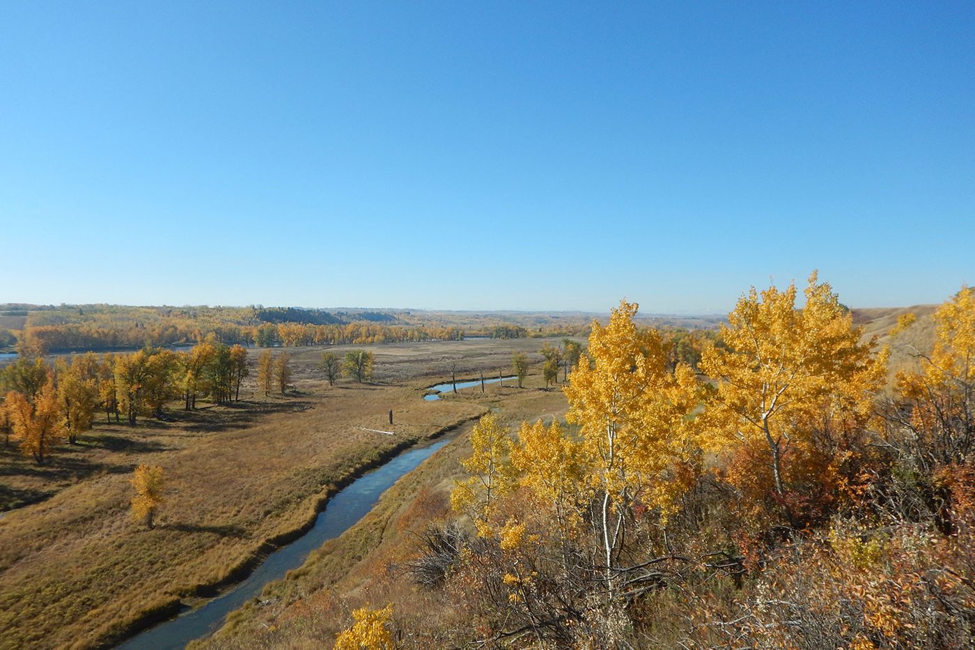 Ricardo Ranch neighbourhood in Calgary