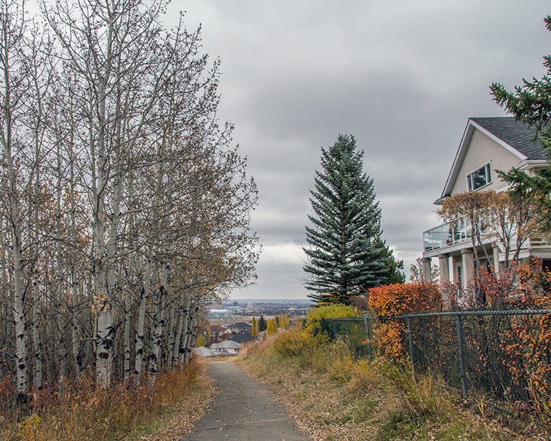 Richmond neighbourhood in Calgary