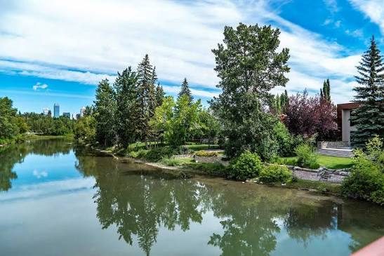 Rideau Park neighbourhood in Calgary
