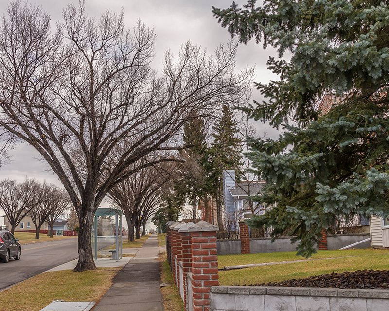 Rundle neighbourhood in Calgary