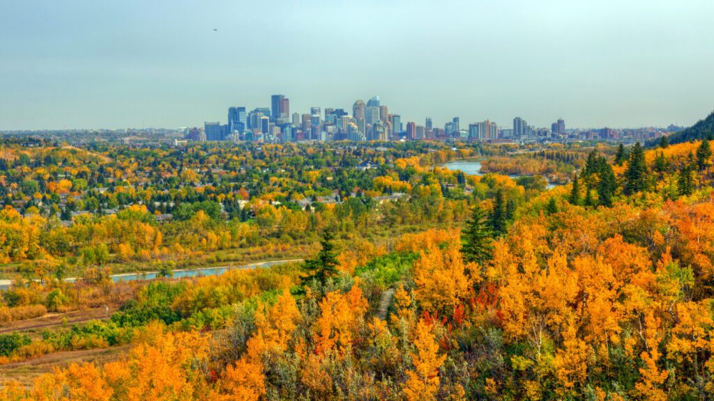 Wildwood neighbourhood in Calgary